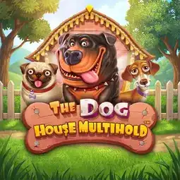 The Dog House Multihold game at Goldwin Casino for United Kingdom players
